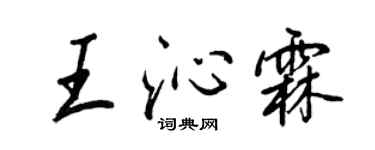 王正良王沁霖行書個性簽名怎么寫