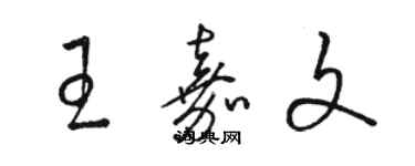 駱恆光王嘉文草書個性簽名怎么寫