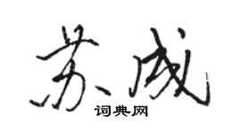 駱恆光蘇成行書個性簽名怎么寫