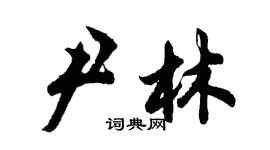 胡問遂尹林行書個性簽名怎么寫