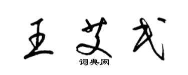 梁錦英王艾民草書個性簽名怎么寫