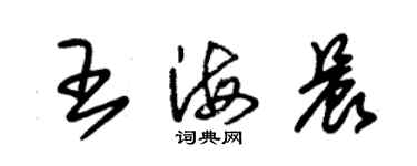 朱錫榮王海晨草書個性簽名怎么寫