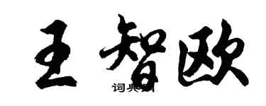 胡問遂王智歐行書個性簽名怎么寫