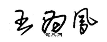 朱錫榮王為鳳草書個性簽名怎么寫