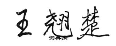 駱恆光王翹楚行書個性簽名怎么寫