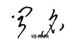 駱恆光聞名草書個性簽名怎么寫