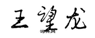 曾慶福王望龍行書個性簽名怎么寫