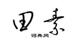 梁錦英田素草書個性簽名怎么寫