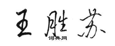 駱恆光王勝蘇行書個性簽名怎么寫