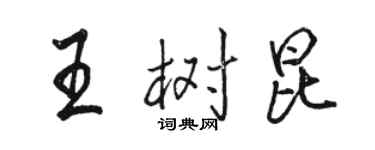 駱恆光王樹昆行書個性簽名怎么寫