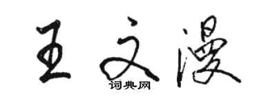 駱恆光王文漫行書個性簽名怎么寫