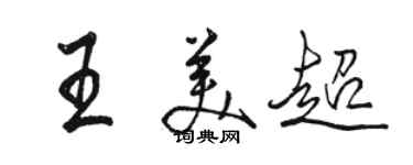 駱恆光王美超行書個性簽名怎么寫