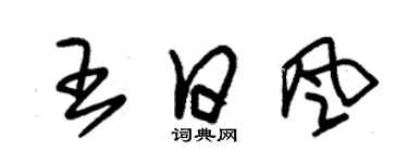 朱錫榮王日風草書個性簽名怎么寫