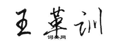 駱恆光王革訓行書個性簽名怎么寫