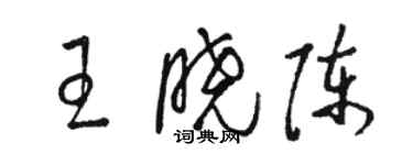 駱恆光王曉陳草書個性簽名怎么寫