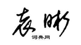 朱錫榮袁晰草書個性簽名怎么寫