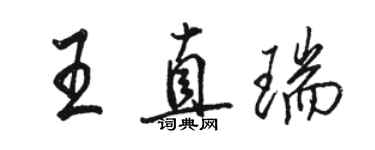 駱恆光王直瑞行書個性簽名怎么寫