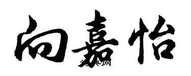 胡問遂向嘉怡行書個性簽名怎么寫