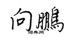 王正良向鵬行書個性簽名怎么寫
