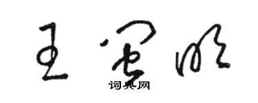 駱恆光王閩明草書個性簽名怎么寫