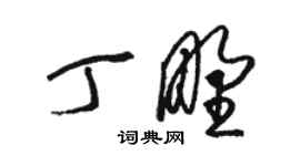 駱恆光丁野草書個性簽名怎么寫