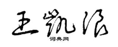 曾慶福王凱浪草書個性簽名怎么寫