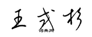 梁錦英王式杉草書個性簽名怎么寫