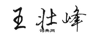 駱恆光王壯峰行書個性簽名怎么寫