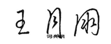 駱恆光王月朋草書個性簽名怎么寫