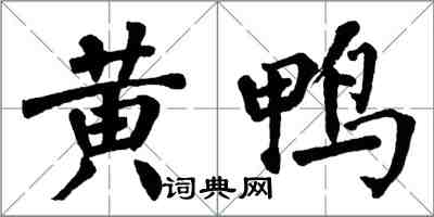 翁闓運黃鴨楷書怎么寫