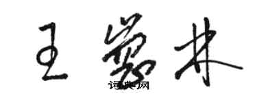 駱恆光王崗林草書個性簽名怎么寫