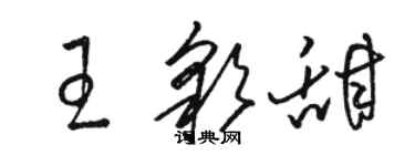 駱恆光王彩甜草書個性簽名怎么寫