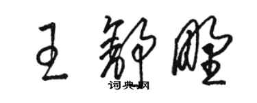 駱恆光王舒野草書個性簽名怎么寫