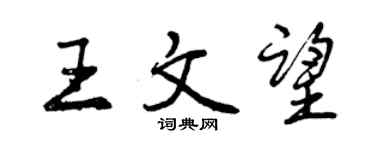 曾慶福王文望行書個性簽名怎么寫