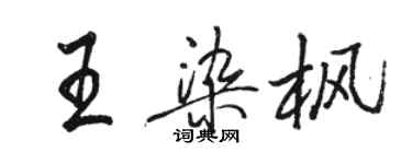 駱恆光王染楓行書個性簽名怎么寫