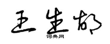 曾慶福王生胡草書個性簽名怎么寫