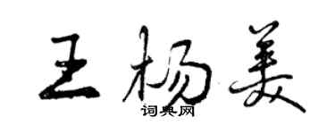 曾慶福王楊美行書個性簽名怎么寫