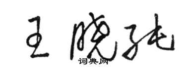 駱恆光王曉純草書個性簽名怎么寫