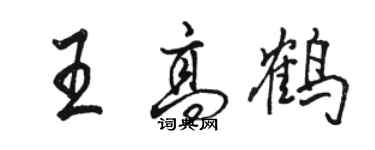 駱恆光王高鶴行書個性簽名怎么寫