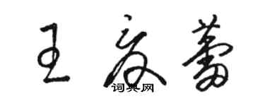 駱恆光王夏蕾草書個性簽名怎么寫