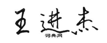 駱恆光王進傑行書個性簽名怎么寫