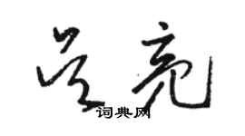 駱恆光吳亮草書個性簽名怎么寫