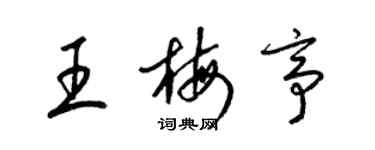 梁錦英王梅亭草書個性簽名怎么寫