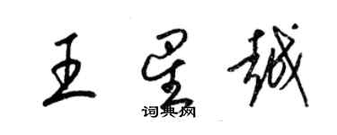 梁錦英王星越草書個性簽名怎么寫