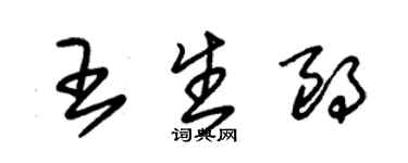 朱錫榮王生朗草書個性簽名怎么寫