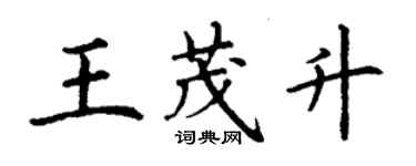 丁謙王茂升楷書個性簽名怎么寫