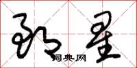 朱錫榮郎星草書怎么寫
