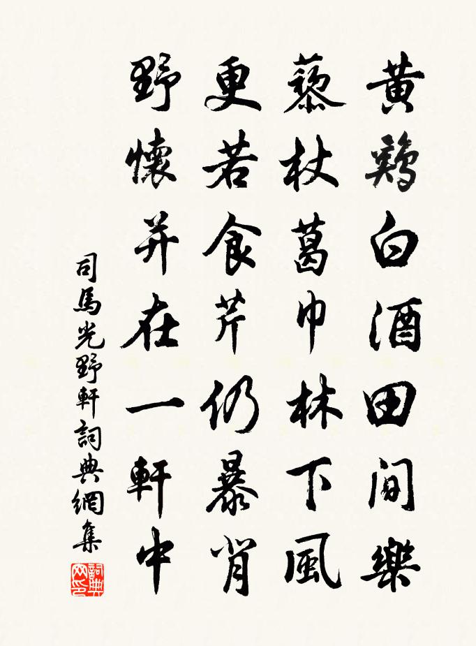 司馬光野軒書法作品欣賞