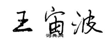 曾慶福王宙波行書個性簽名怎么寫