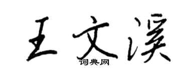 王正良王文溪行書個性簽名怎么寫